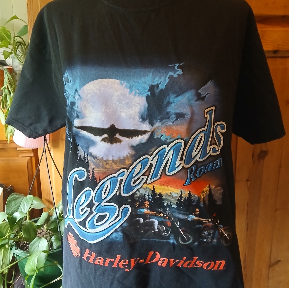 Vintage Harley-Davidson Black Biker Graphic Tee West LA , CA Size Medium